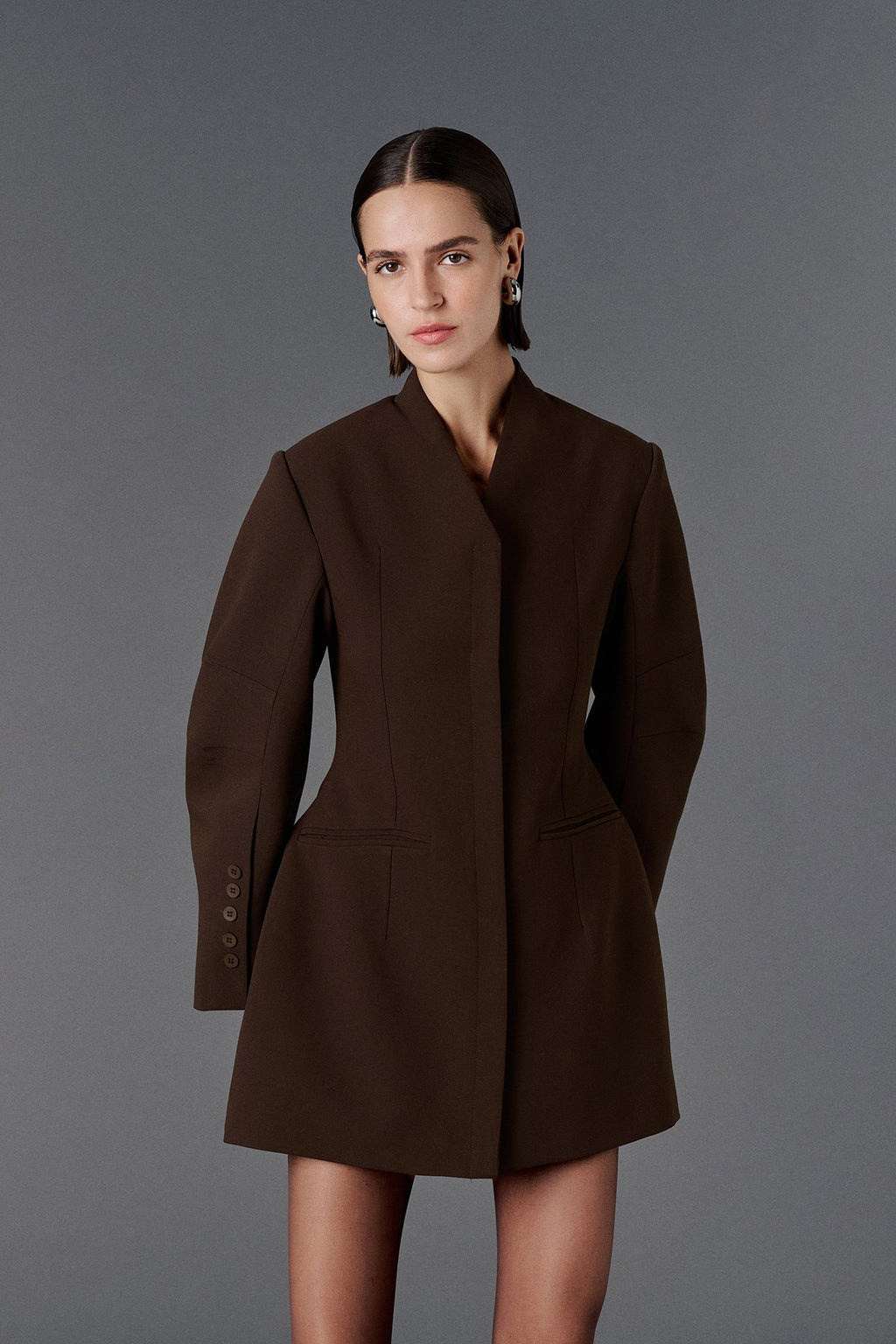 Wide Sleeve Fitted Dress - Brown