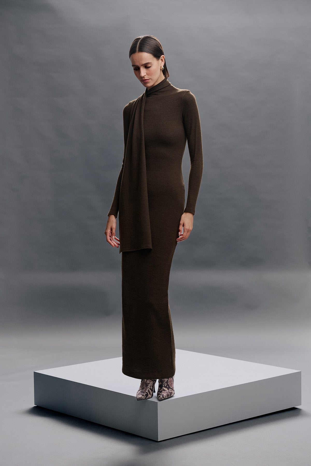 Exlusive Collar Maxi Dress - Brown